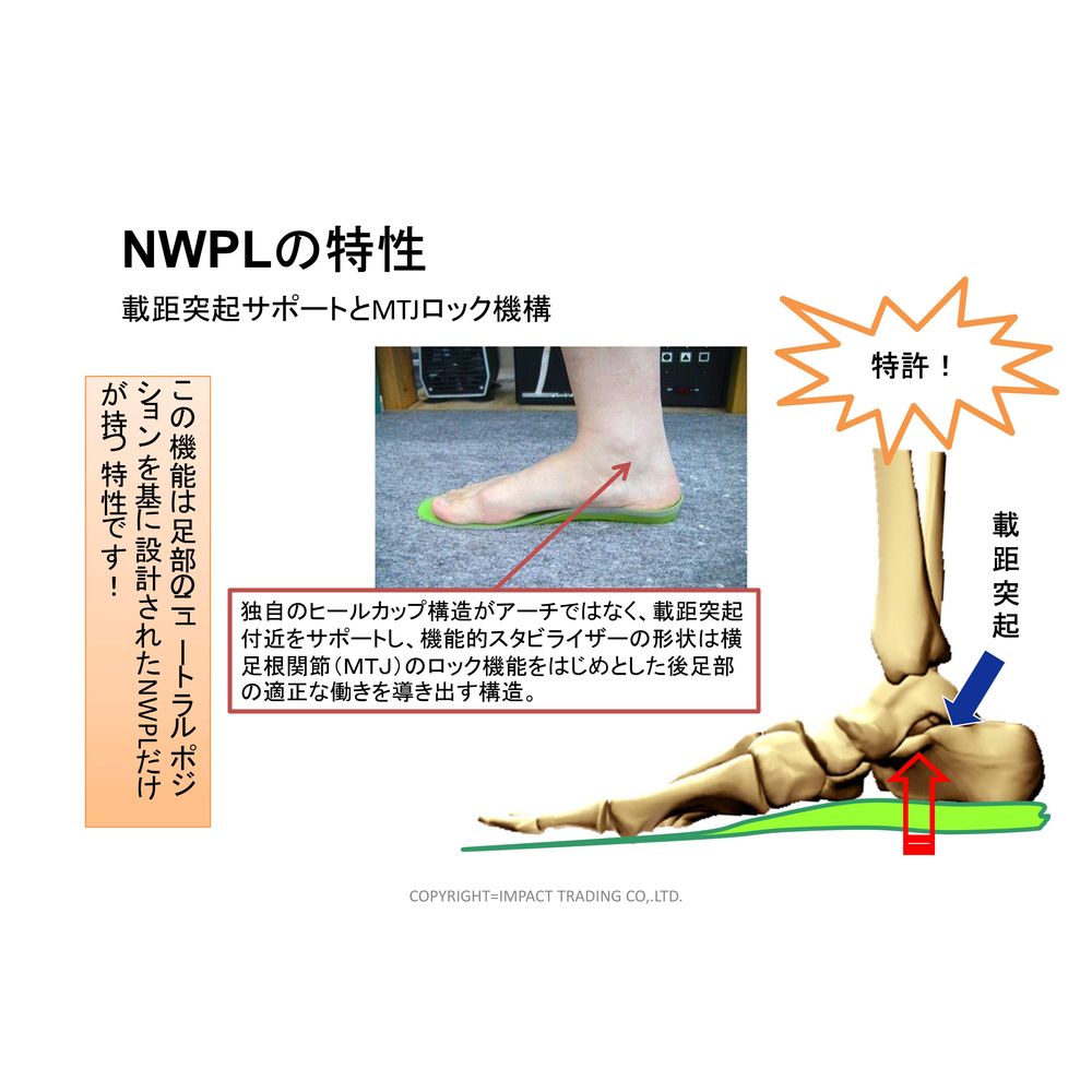 即日出荷』NWPL インソール Life OTC ITN001 ノースウエスト・ポディア