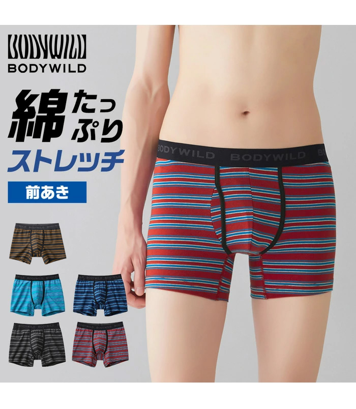 BODY WILD（ボディワイルド） GUNZE グンゼ ボクサーパンツ ボーダー柄
