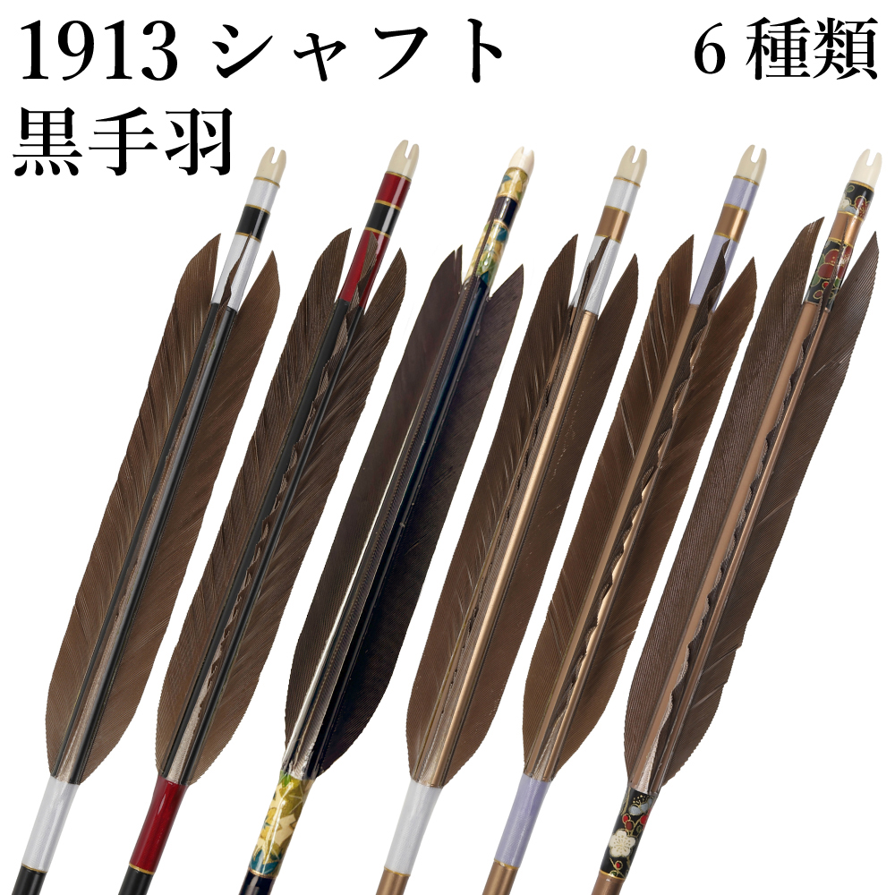 1913シャフト 黒手羽 6種類 6本組 イーストン 黒 茶 シャフト 推奨弓力