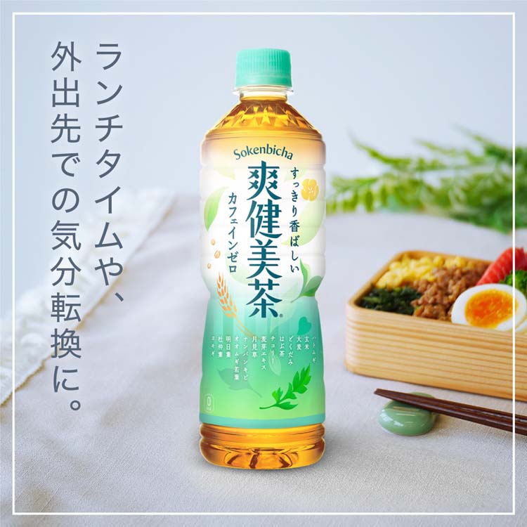 爽健美茶 ラベルレス PET ( 600ml×48本セット )/ お茶 ) : 爽快