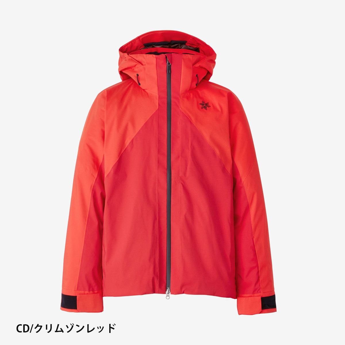 GOLDWIN（ゴールドウイン） 【エントリーでP最大17倍！1日まで】スキー