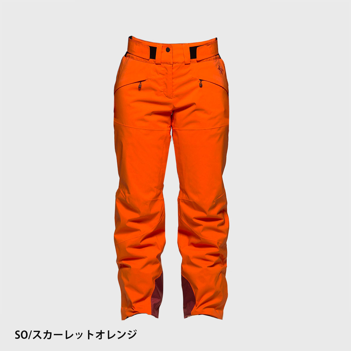 GOLDWIN（ゴールドウイン） 【エントリーでP最大17倍！1日まで】スキー