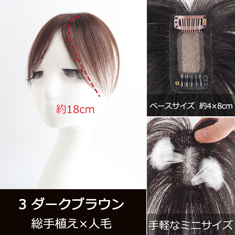 私元気 部分ウィッグ 全国カット 返品交換OK 小面積 4×8cm 頭頂部 人毛