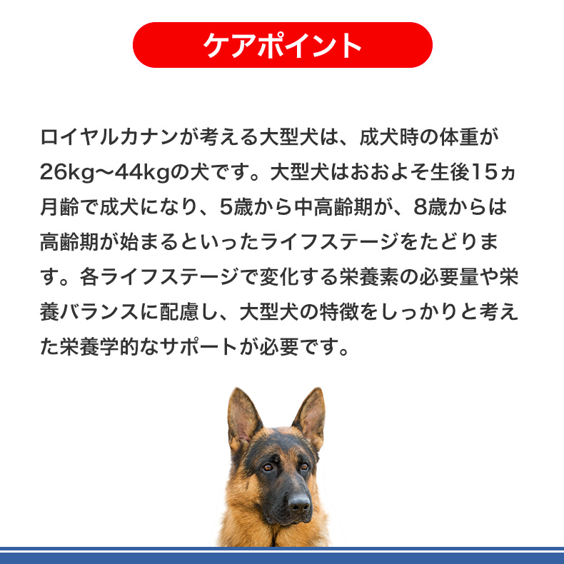 ロイヤルカナン（ROYAL CANIN） マキシ アダルト 5＋ 15kg / 大型犬