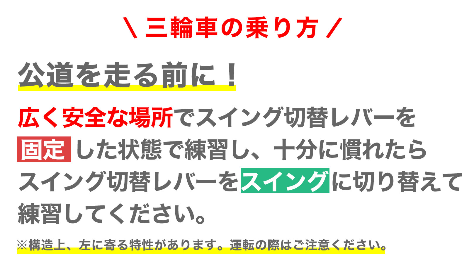 21Technology 三輪車 大人用 三輪自転車 大人三輪車 三輪車 おとな用