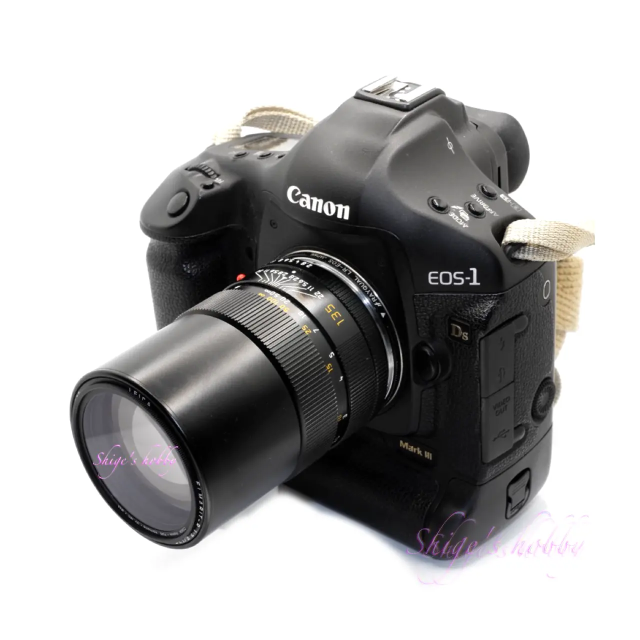 描写よい中望遠 ELMARIT R 135mm typ-II – Shige's hobby