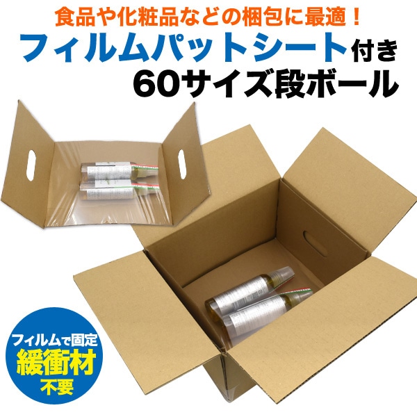 プラタ フィルム付き段ボール 60サイズ 50枚セット ph009 1セット（ご