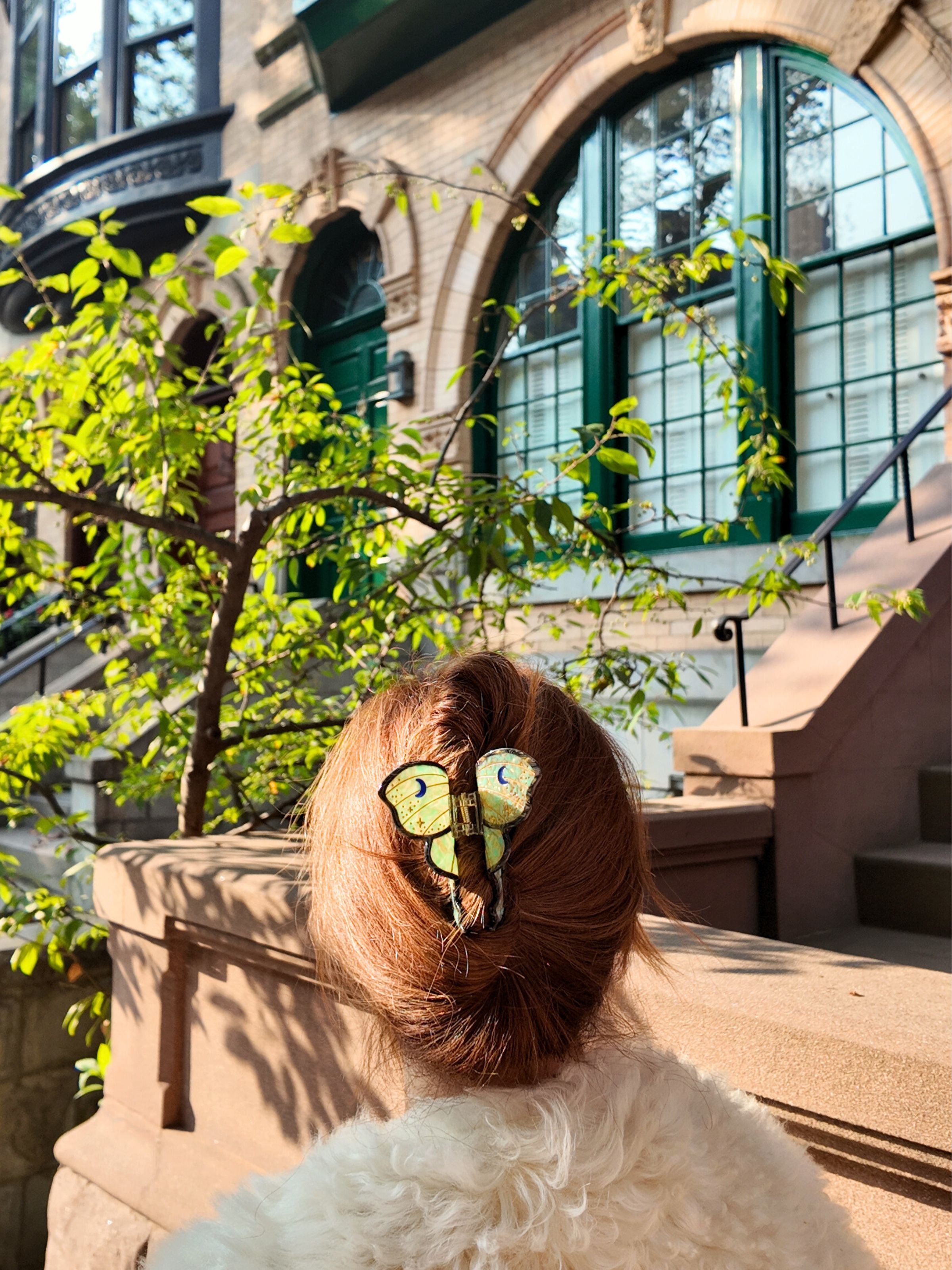 Hand-painted Luna Moth Claw Hair Clip | Eco-Friendly – Solar Eclipse