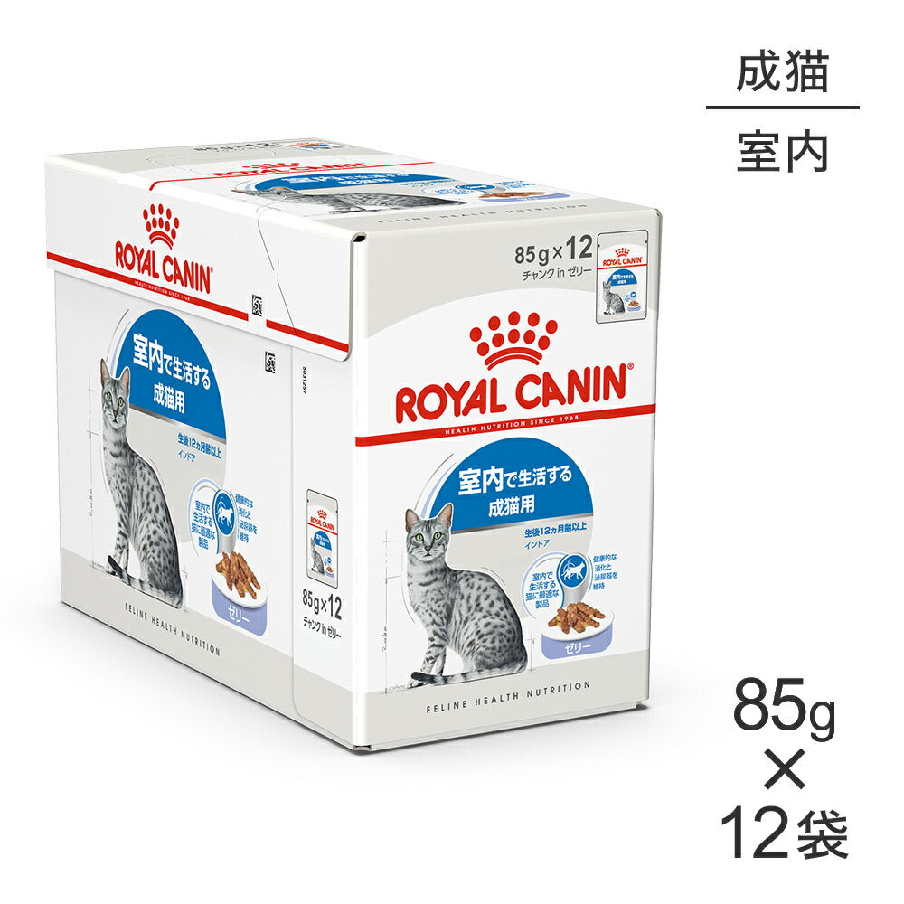 85g×12袋】ロイヤルカナン FHN-WET インドア ゼリー 室内で生活する成猫