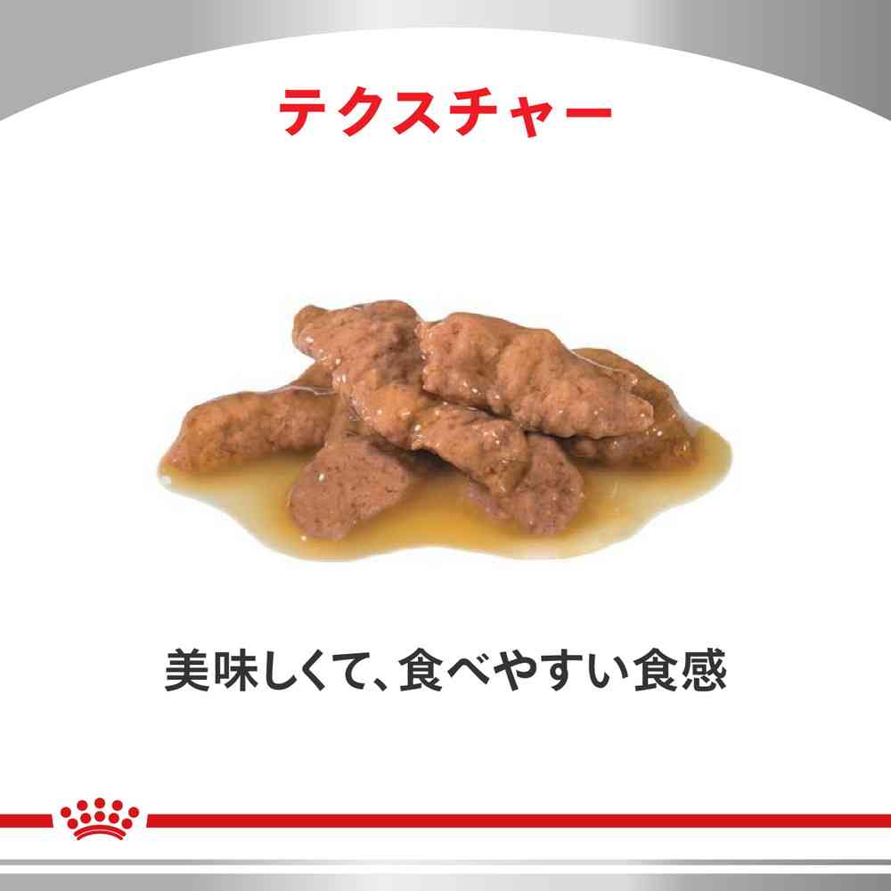 猫用 ユリナリーS/O パウチ 85gx12x2