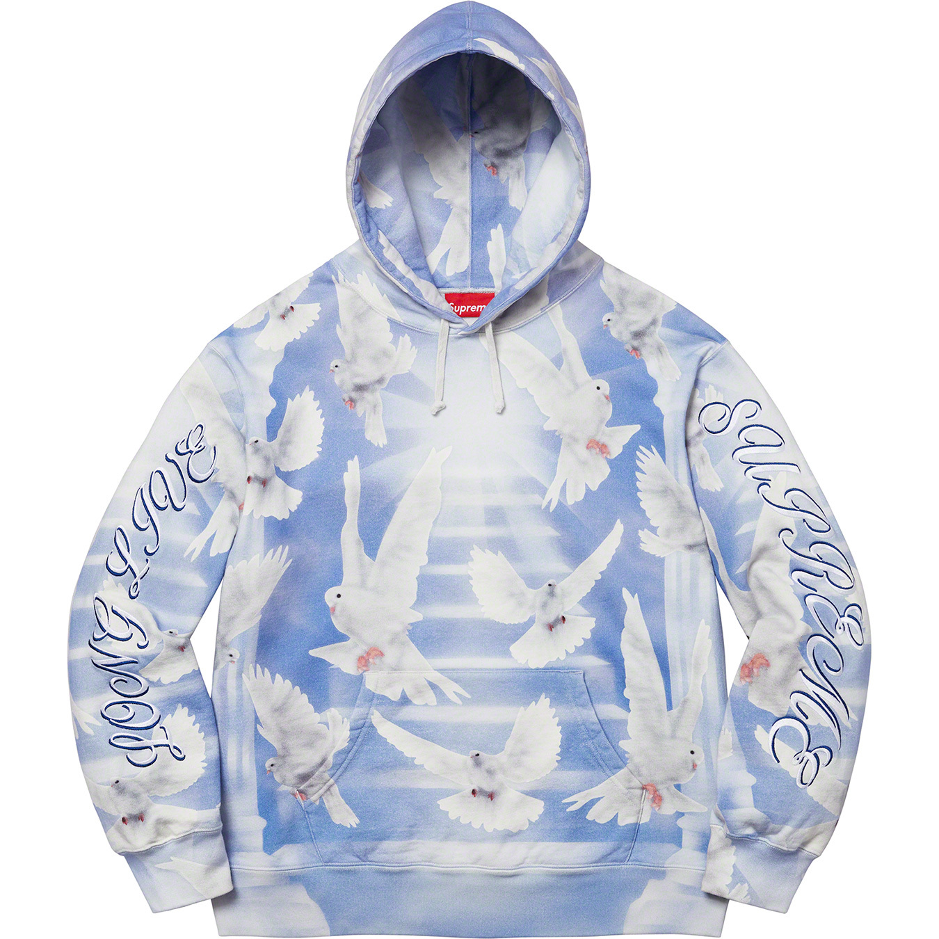 Doves Hooded Sweatshirt | Supreme 22ss
