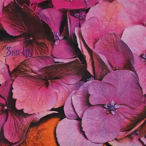 STILL LIFE / スティル・ライフ商品一覧｜PROGRESSIVE ROCK｜ディスク