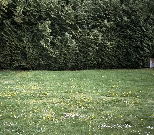 Ghosts/mitsume/ミツメ｜日本のロック｜ディスクユニオン・オンライン