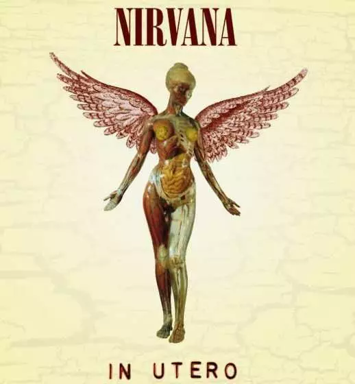 IN UTERO (30TH ANNIVERSARY 5CD SUPER DELUXE)/NIRVANA/ニルヴァーナ