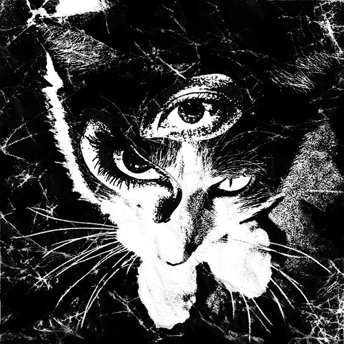 Tokyo Shoegazer / 東京酒吐座商品一覧｜JAPANESE ROCK・POPS / INDIES