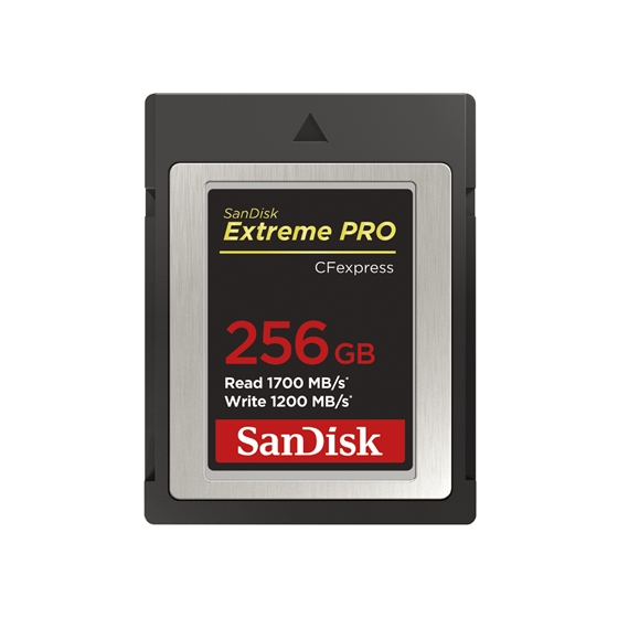SanDisk エクトリーム プロ CFexpress Type B カード 256GB SDCFE-256G
