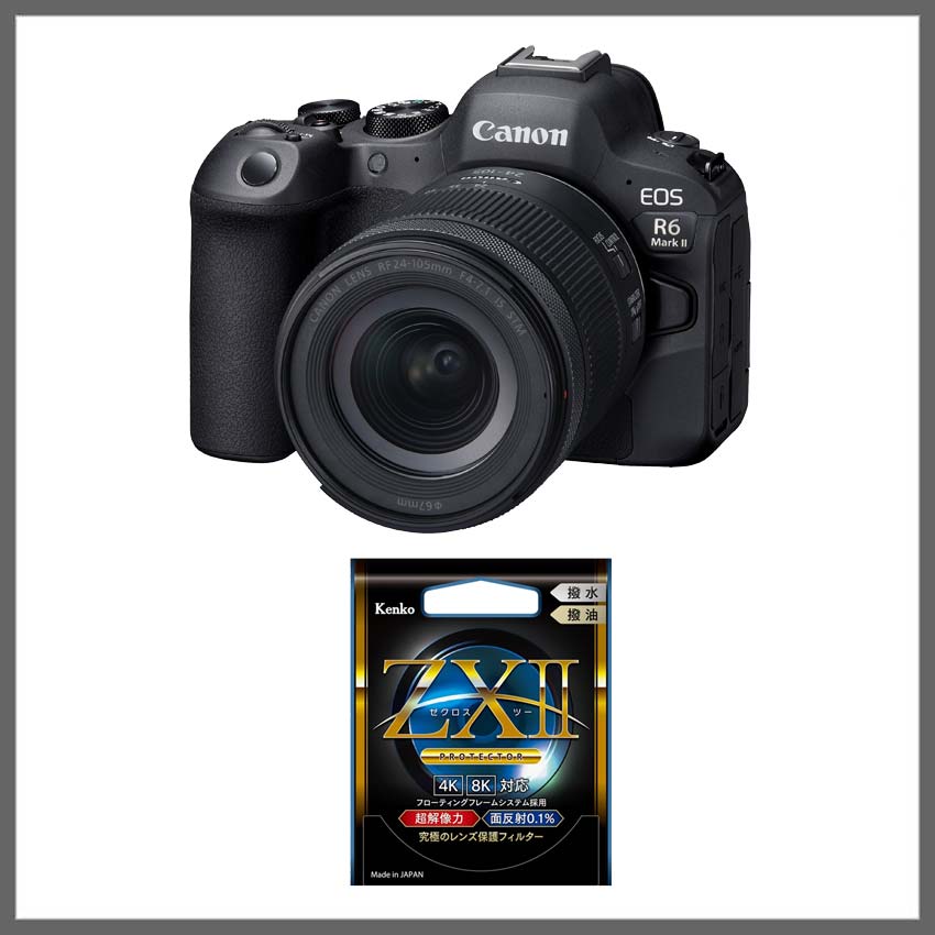 キヤノン ミラーレスカメラ EOS R6 Mark II 購入ページ｜キヤノン