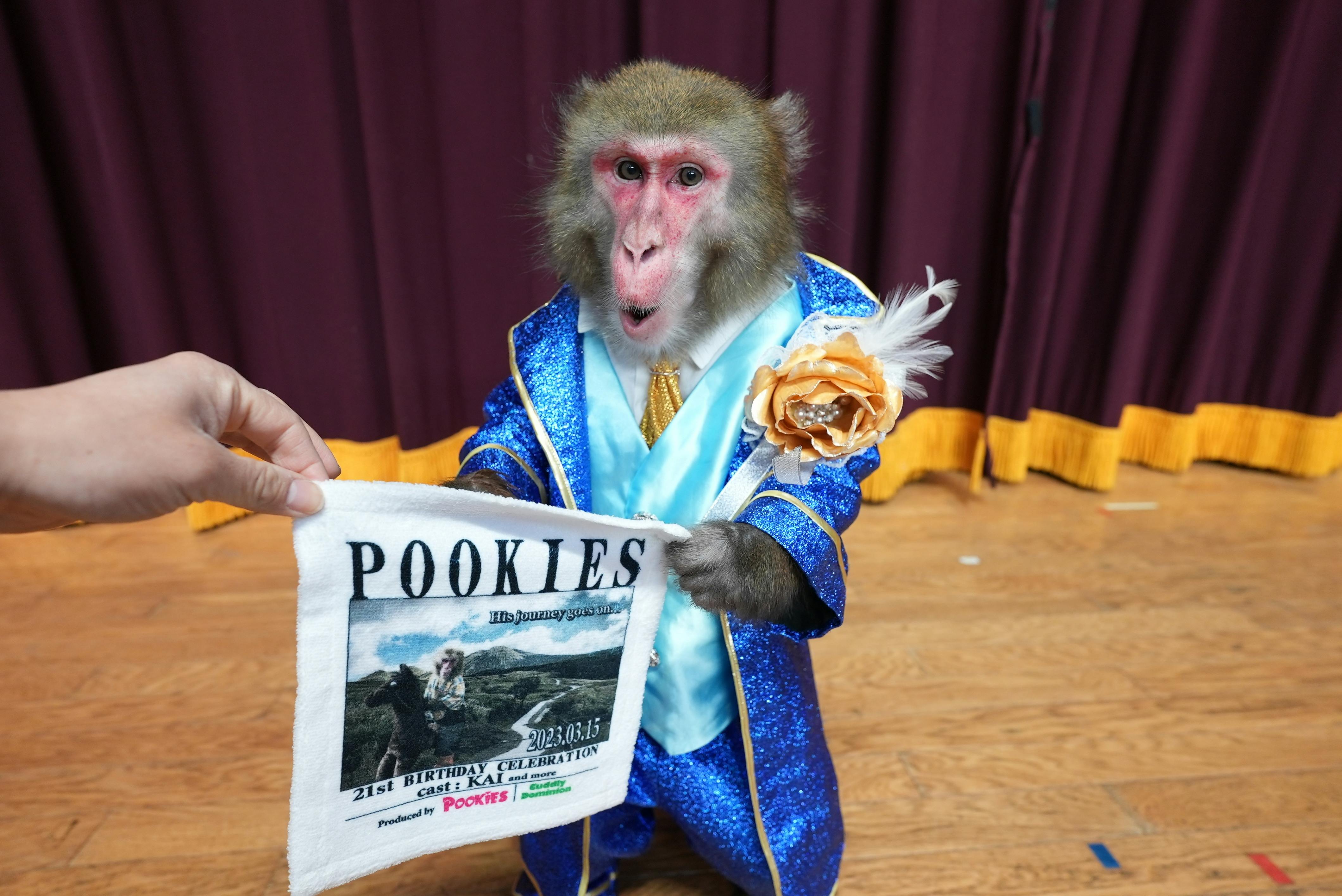 カイくんの21歳のお誕生日に寄せて CAMPFIREコミュニティ