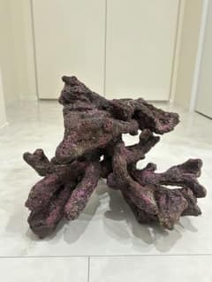 m19135886199_1.jpg?1762585560