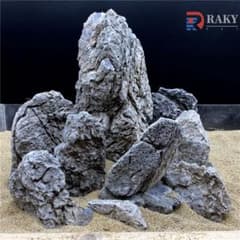 m20301998052_1.jpg?1710072908