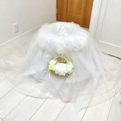 m22136848251_1.jpg?1750655741