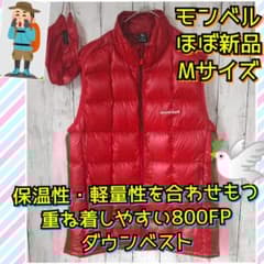 m34082034403_1.jpg?1693093614