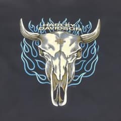 harley davidson バッファロースカル 90s ブルーフレイム - メルカリ