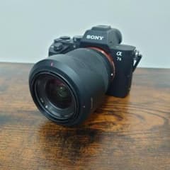 SONY α7ii ミラーレスカメラ ほぼジャンク 写真撮影可能です - メルカリ