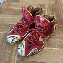 NBA 2K14 × ナイキ レブロン 11 