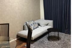 ⭐︎あっちゃん様専用⭐︎【年内〆切！】日本フクラ ソファ クッション