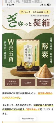 発酵味噌汁の素 5g×3袋 - メルカリ