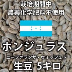 ホンジュラス ニーファランザ ウォッシュド 生豆 5キロ - メルカリ