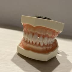 m39109080157_1.jpg?1722087636