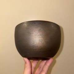 XL 盆栽鉢 作家鉢 陶器 真柏 糸魚川 皐月 五葉松 長寿梅 アガベ