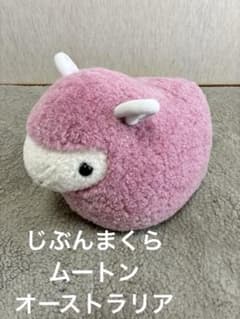 m32033383397_1.jpg?1767076525