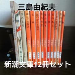 m33176214064_1.jpg?1708250639