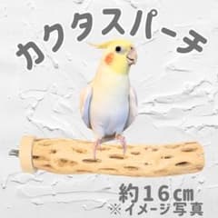 鳥用品 止まり木 カクタス スケルトン パーチ 中細 No.578 - メルカリ