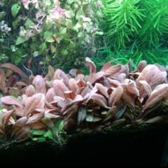 m44165286807_1.jpg?1750669650