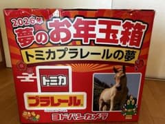 2026年 夢のお年玉箱 トミカプラレールの夢 ヨドバシ福袋 - メルカリ