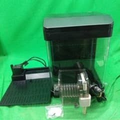 m49405464494_1.jpg?1721970122