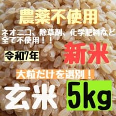 自然栽培】農薬不使用 化学肥料不使用 除草剤不使用 ヒノヒカリ 玄米