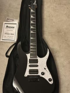 Ibanez RGV250-BK ソフトケース アーム 説明書付属 値下げ交渉〇