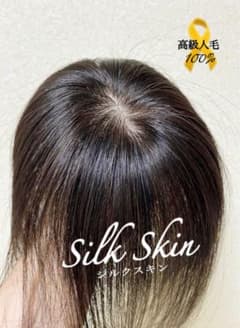 人毛100 ヘアピース【シルクスキン】自然な黒 ポイントウィッグ トップ