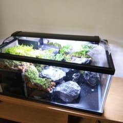 受注生産】滝の流れるアクアテラリウム イモリウム 苔 水槽 苔