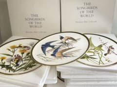 T13 フランクリン•ポーセリン「世界の鳴鳥」シリーズプレート皿 10枚