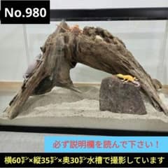 No.980】大型流木 爬虫類レイアウト✫インテリア✫ - メルカリ