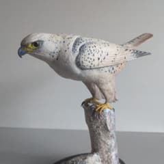 m56709973899_1.jpg?1757305037