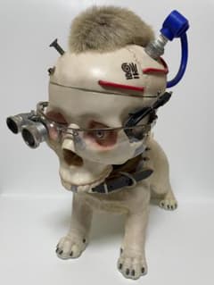 m56737154177_1.jpg?1763550037