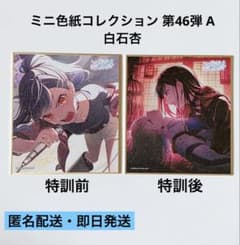 m57909539840_1.jpg?1748669413