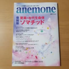 anemone 復刻版 驚異の古代生命体ソマチッド - メルカリ
